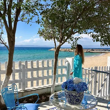 Exquisite Thassos Mare 4 Bedroom Private Pool וילה *